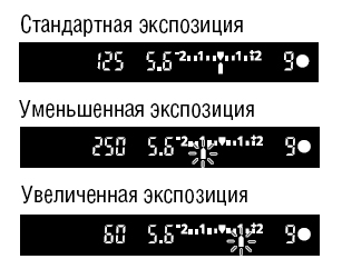 Экспозиция